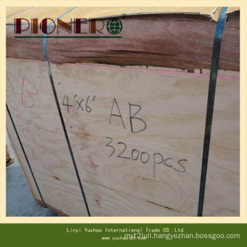 4*8′ Size Veneer Plb Poplar for India Market